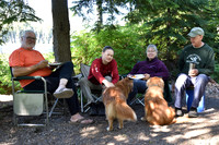 Summer Camping