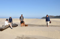 Family Vacation
