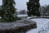 2021-Winter